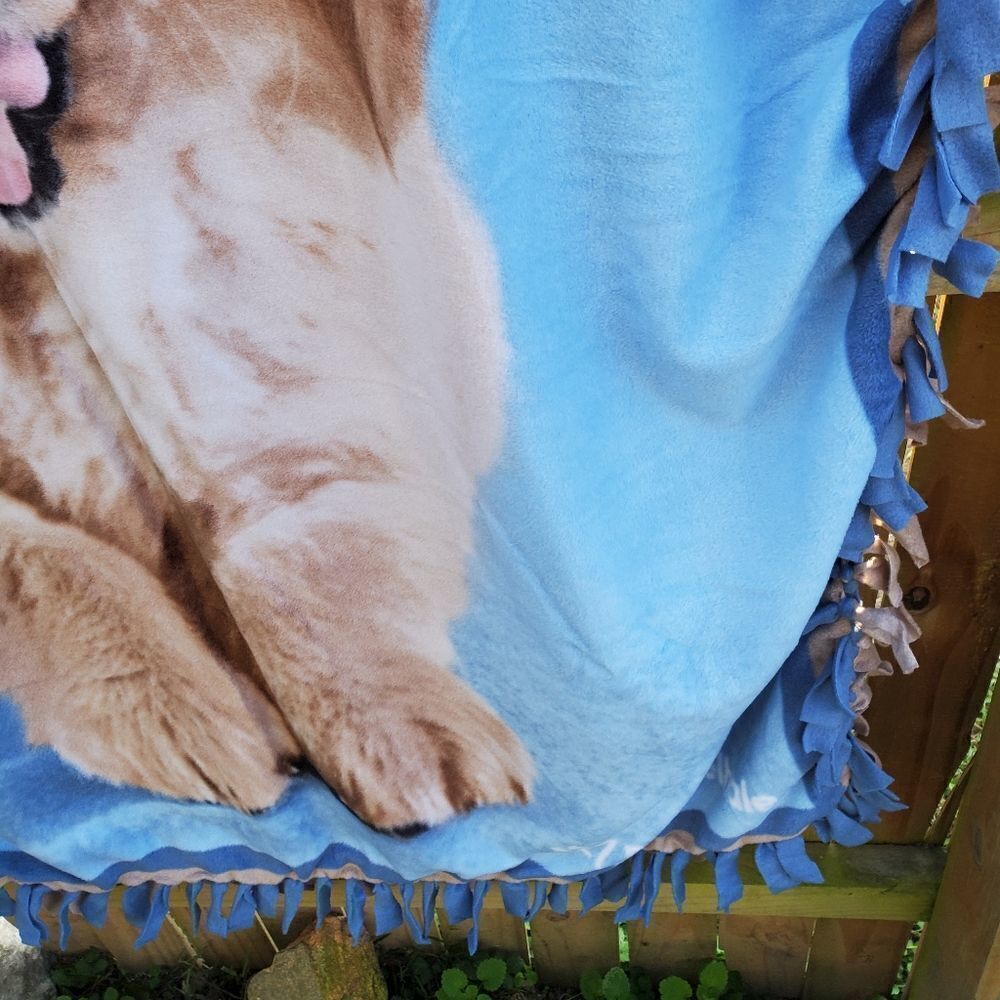 Blanket - Picture 6 of 8